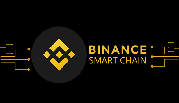 شبکه های بایننس Binance chain